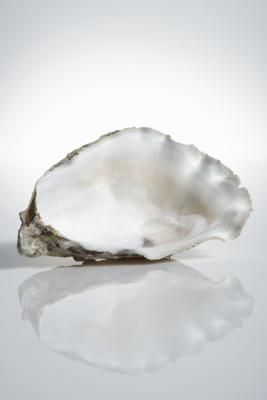 An oyster shell can look a bit rough on the outside, yet its interior resembles a smooth, elegant piece of silk. Once cleaned, you can use oyster shells for decorating, whether you harvested them ... Oyster Shell Crafts, Oyster Pearl, Birthstone Colors, Oyster Shells, Beach Crafts, Shell Art, Oyster Shell, Shell Crafts, Shades Of White