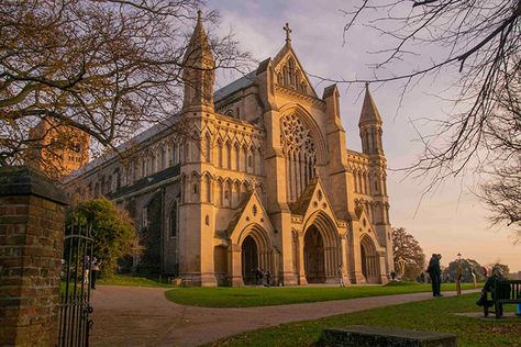 Growing Appeal of St Albans for Young Professionals St Albans, Young Professional, Photographer Branding, Living Environment, Green Space, Marketing Jobs, Housing Market, City Life, Interior Architecture Design