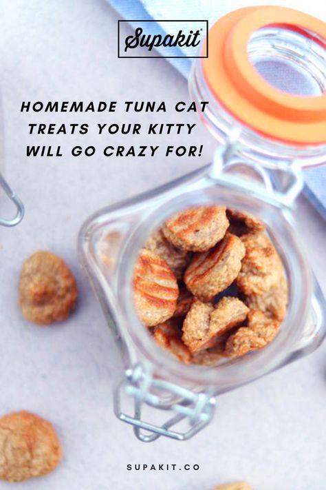 Super easy, super yummy and super healthy! Your kitty will go crazy for these extra special homemade tuna treats! 😻 Cat Treats Recipes, Homemade Cat Treats Recipes, Diy Cat Treats, Tuna Cat Treats, Homemade Cat Treats, Cat Breeding, Kitty Treats, Homemade Dog Cookies, Homemade Pet Treats