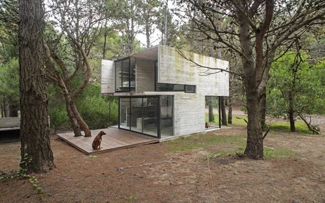 ignant_arch_h3house_kruk_001 Concrete Houses, Concrete Home, Exposed Concrete, Concrete House, Cabins In The Woods, Design Case, Contemporary Architecture, House In The Woods, Container House