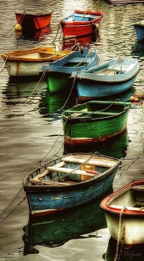 Holly Hobby, Navi A Vela, Row Boats, Boat Life, Old Boats, Sarah Kay, Boat Art, Muse Art, Wooden Ship