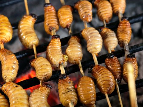 Coconut Tree Grubs in Iquitos : 10 Most Bizarre Foods in the World : TravelChannel.com Weird Food Recipes, Chinese Street Food, Andrew Zimmern, Bizarre Foods, Recipes Around The World, Protein Rich Foods, Just Eat It, Exotic Food, Weird Food