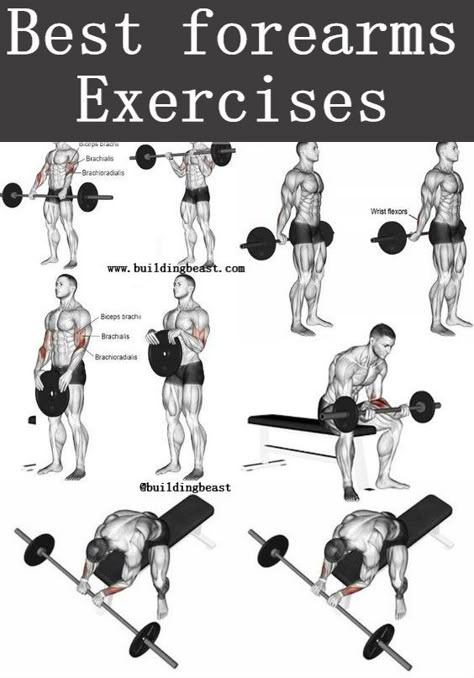 Here are the best forearms workout which will help you getting strong and solid forearms. Try these awesome workout. Strong Arms Workout, Best Forearm Exercises, Arm Workout Men, Arm Workout Routine, Exercises For Men, Workout Gym Routine, Forearm Workout, Workout Program Gym, Dumbell Workout