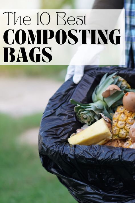 Composting Kitchen Scraps, Building A Compost Pile, Start Composting, Composting Bin, Biodegradable Waste, Palet Compost Bin, Easy Compost Pile, Attractive Compost Bin, Composting 101