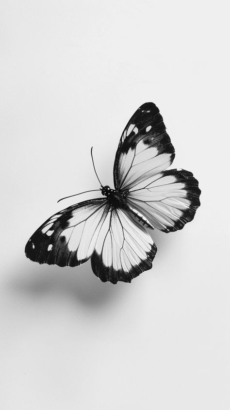 Black And White Butterfly Photography, Pretty Black And White Pictures, Butterfly White Aesthetic, Butterfly Realism Tattoo, Black And Gray Butterfly Tattoo, Butterfly Drawing Black And White, White Butterfly Drawing, Tattoos Of Butterflies, Butterfly Tattoo Black And White