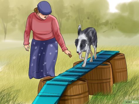 Diy Dog Walk Agility, Homemade Agility Course For Dogs, Diy Dog Agility Equipment Do It Yourself, Diy Dog Agility Course Backyards, Diy Agility Equipment, Agility Course For Dogs, Diy Dog Agility Equipment, Diy Dog Agility Course, Dog Course