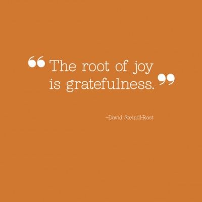 Day 1 - I am grateful today that my family is healthy. As friends start to loose their parents I am even more mindful how lucky I am to have them. I love my family. Gratitude Day, Thank You Quotes, Thanksgiving Quotes, Attitude Of Gratitude, Gratitude Quotes, A Quote, Great Quotes, Mantra, Inspirational Words