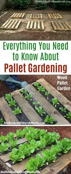 Garden Diy Decoration Ideas, Diy Garden Landscaping, Pallet Gardening, Pallets Garden, Pallet Garden, Vegetable Garden Design, Garden Bed, Veggie Garden, Pallet Ideas