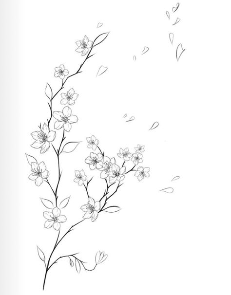 Line Work Cherry Blossom Tattoo, Cherry Blossom Tattoo Linework, Cherry Blossom Line Art Tattoo, Vine Tattoo Sketch, Fine Line Tattoo Cherry Blossom, Sakura Tattoo Black And White, Sakura Flower Tattoo Design, Cherry Blossom Tattoo Black And White, Cherry Blossom Wrap Around Tattoo