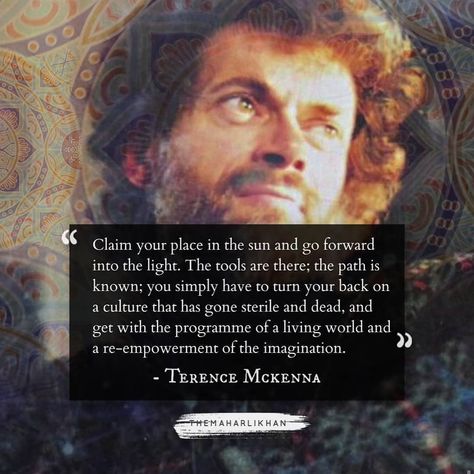 Terence Mckenna Quotes, Terence Mckenna, Stoicism Quotes, Inner Peace Quotes, Peace Quotes, Love Hug, Life Happens, Ig Stories, Movie Quotes