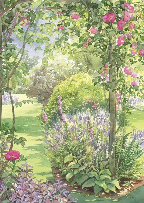 Dorothy Pavey - Society of Botanical Artists Backyard Garden Landscaping, Portraits Pastel, Garden Landscaping Ideas, Garden Illustration, Aesthetic Garden, Garden Drawing, Canvas Painting Ideas, Garden Watercolor, Garden Aesthetic