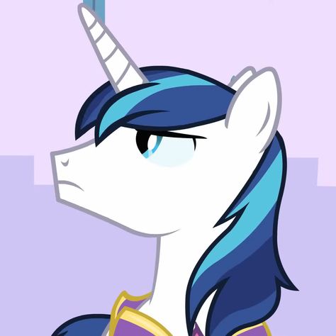 Shining Armour My Little Pony, Spike Pfp Mlp, My Little Pony Shining Armor, Shining Armor Mlp, Canterlot Wedding, My Little Pony Twilight, Pony Horse, Icon Pfp, Rainbow Dash