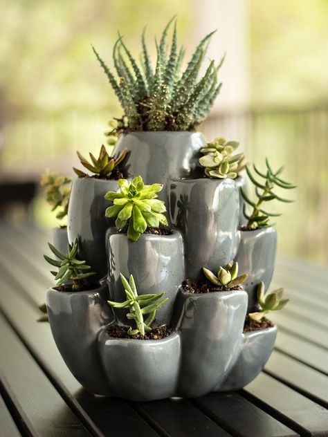 Kaktus Dan Sukulen, Tiered Planter, Ceramic Succulent, Cactus Planter, Pot Plants, Tanah Liat, Garden Pottery, Slab Pottery, Hand Built Pottery