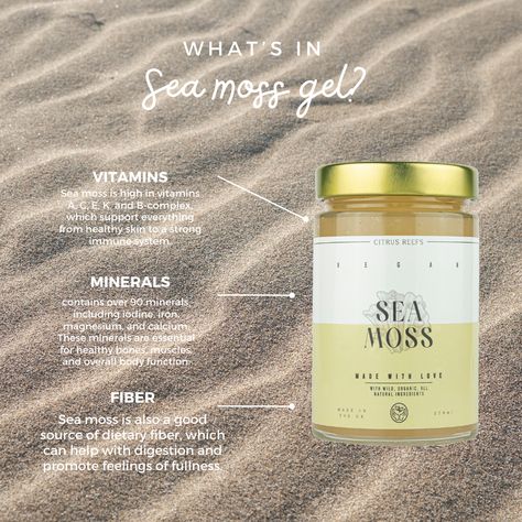 Seamoss Aesthetic, Irish Moss Recipes, Benefits Of Sea Moss, Seamoss Benefits, Benefits Of Vitamin A, Probiotic Benefits, Healthy Lifestyles, Plant Medicine, Irish Moss