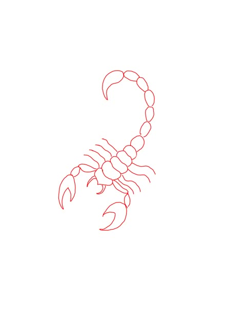 Drawing Of A Scorpion, Scorpion Line Drawing, Single Line Scorpion Tattoo, Easy Scorpion Drawing, Scorpion Fine Line Tattoo, Simple Scorpion Drawing, Scorpion Tattoo Linework, Scorpion Tattoo Fine Line, Mini Scorpion Tattoo