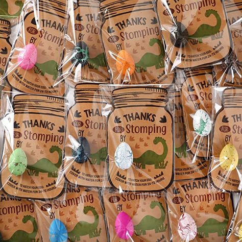 Kids Dinosaur Party, Toddler Party Favors, Dinosaur Favors, Baby Shower Gifts For Guests, Girl Dinosaur Birthday, Party Dinosaur, Egg Card, Easter Party Favor, Dinosaur Party Favors