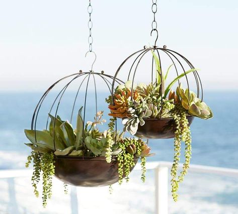 Hanging vegetable basket