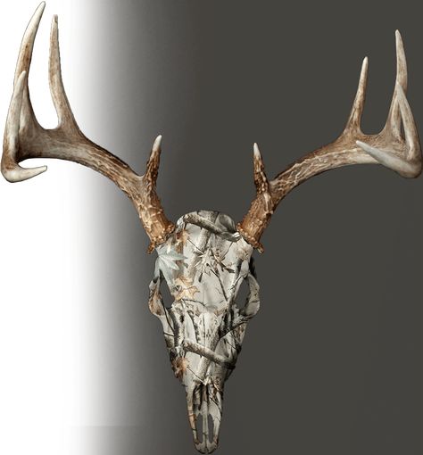 Hydrodipping Diy, Deer Skull Drawing, European Mount Ideas, Hydro Painting, Hydrographic Dipping, Deer Skull Decor, Painted Deer Skulls, Deer Stencil, Hydro Graphics