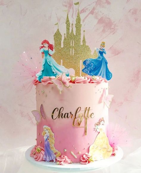 Princess Theme Birthday Cake Ideas, Princess Cake For 3rd Birthday, Princess Theme Birthday Party Cake, Disney Princesses Cake Ideas, Princess 4th Birthday Cake, Small Disney Princess Cake, Disney Princess Birthday Cake One Tier, Birthday Cake Princess Disney, Pastel Princess Cake