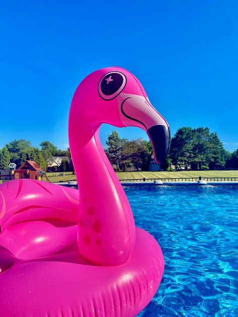 pink flamingo floatie 🥰 #summer #pool Pool Stuff, Barbie Aesthetic, Coastal Summer, Pink Holiday, Collage Ideas, Im A Barbie Girl, Dream Pools, Pink Beach, Pool Floats