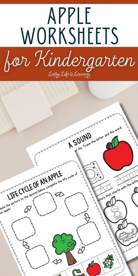 Apple Worksheets for Kindergarten Apple Literacy Activities, Apple Activities Kindergarten, Homeschool Fall Activities, Apple Literacy, Life Cycles Kindergarten, Apple Kindergarten, Apple Life Cycle, Apple Activities, Literacy And Numeracy