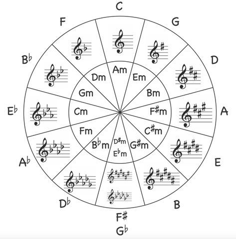 Music Theory For Beginners, Diatonic Scale, Guitar Tricks, Piano Scales, What Is The Point, Learn Music Theory, Printable Circles, Music Rules, Minor Scale