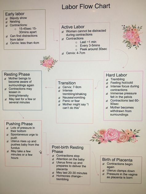 Labor Flow Chart Labor And Delivery Nurse Essentials, Easier Labor And Delivery, Midwife Study Notes, Fundal Height Chart Pregnancy, Labor And Delivery Nursing School, Nursing Labor And Delivery, Midwifery Student Notes, Labor And Delivery Nurse Notes, Midwife Notes