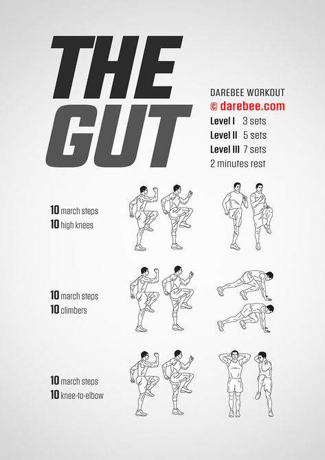 The Gut Workout Darbee Workout, Workouts For Men, Men Exercises, Hiit Training, Home Workouts, High Intensity Workout, Kettlebell Workout, Free Workouts, Core Strength