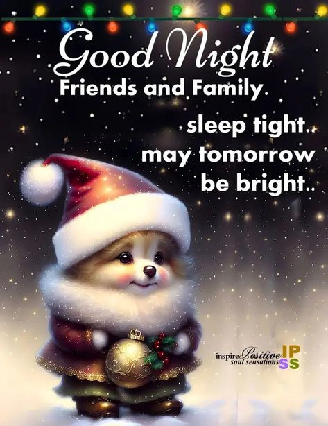 Good Night Christmas, Funny Good Night Pictures, Cute Picture Quotes, Good Night Cat, Good Night Massage, Winter Christmas Scenes, Good Night Funny, Good Morning Beautiful Gif, I Love You Images