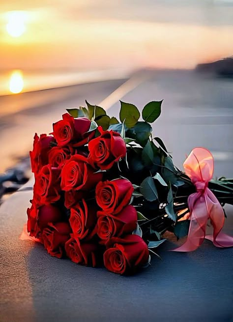 Love Rose Flower, Good Morning Flowers Rose, Rose Flower Pictures, Beautiful Flowers Photography, Red Rose Bouquet, Beautiful Red Roses, Lovely Flowers Wallpaper, Rose Pictures, A Beautiful Flower