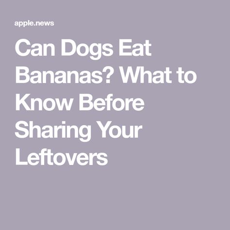 Can Dogs Eat Bananas? What to Know Before Sharing Your Leftovers Can Dogs Eat Bananas, Good Source Of Fiber, What Dogs, Good Sources Of Protein, Best Friend Love, Can Dogs Eat, Whole Grain Bread, Artificial Sweetener, Charts And Graphs