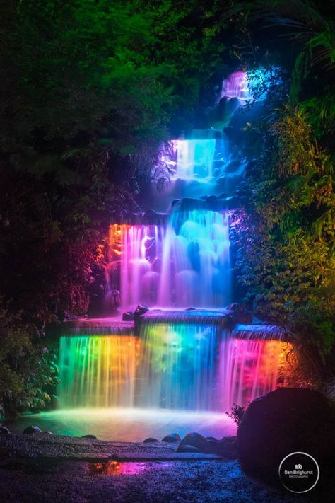 Waterfall Restaurant, Aesthetic Travel Pictures, Glow Garden, Waterfall Lights, Cute Relationship, Neon Jungle, Goals Couple, Cute Relationship Quotes, New Plymouth