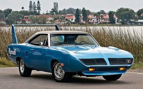 Bluebird Roadrunner Car, 1970 Plymouth Roadrunner, Plymouth Muscle Cars, Plymouth Superbird, Plymouth Road Runner, Plymouth Cars, Dodge Daytona, Mopar Cars, Mopar Muscle Cars