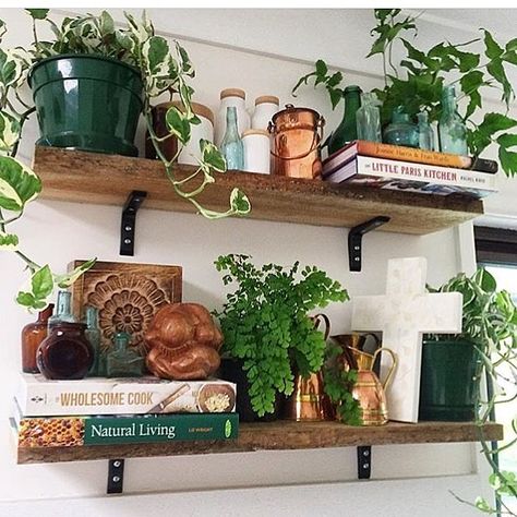 Rustic shelves, plants Kitchen Plants, Bohemian Kitchen, Interior Minimalista, Ideas Hogar, Boho Kitchen, Bohemian Bedroom, Kitchen Witch, Decor Minimalist, Kitchen Shelves