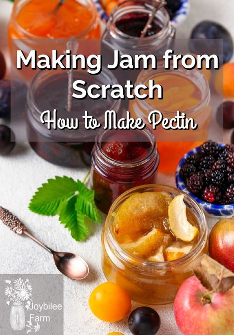 Apple Pectin Recipe, Basic Jam Recipe, Homemade Pectin, Using Apples, Pectin Recipes, Making Jam, Make Jam, Scratch Cooking, Foraging Recipes