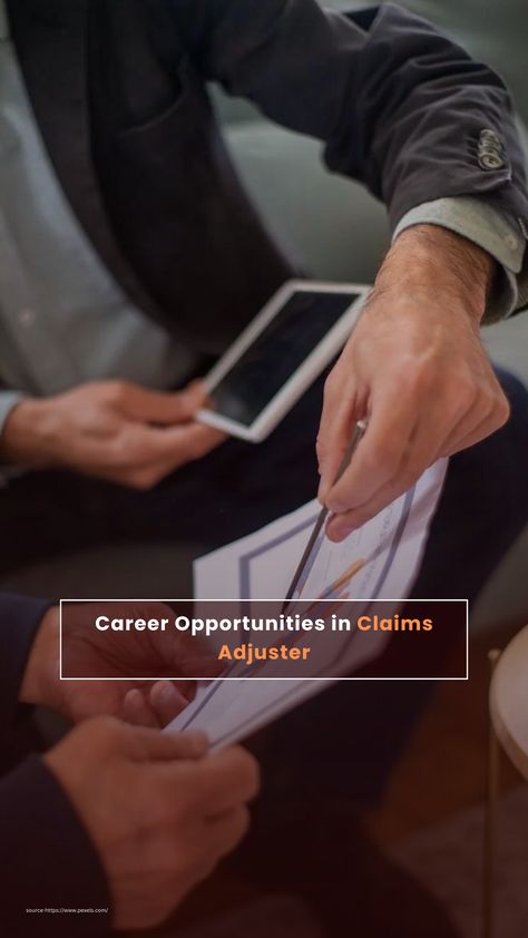 Career Opportunities in Claims Adjuster. Independent adjuster Independent adjusters for multiple insurance companies. Public adjuster Public adjusters assist policyholders. They help people and businesses file insurance claims if insurers offer unfair settlements. Company adjuster Full-time claims adjusters work for one insurance company. Staff adjusters Allstate and Progressive have staff adjusters. One insurance company handles claims. CAT adjusters CAT adjusters handle claims in disaster Clinical Research Coordinator, Public Adjuster, Claims Adjuster, Insurance Adjuster, Insurance Claim, Research Scientist, Insurance Companies, Web Story, Medical Practice