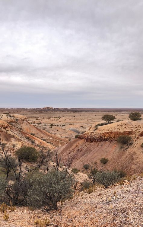 Australia Desert, Rural Photography, Australia Landscape, Desert Land, Desert House, Deserts Of The World, Dry Desert, Painted Desert, Desert Landscapes