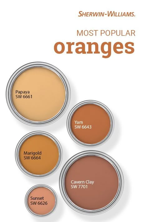 Popular Orange Paint Colors in 2022 | Orange paint colors, Paint colors for home, Orange paint Orange Painted Walls, Burnt Orange Paint, Orange Paint Colors, Rust Paint, Salon Suites, Bedroom Orange, Paint Diy, Orange Paint, Orange Walls