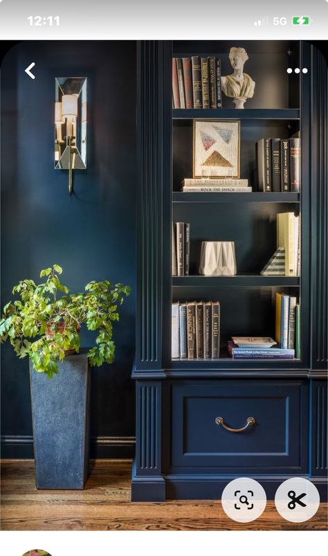 Wall Units, Built In Bookcase, Wall Unit, Bookcase, Dark Blue, Dining Room, The Unit, Wall, Blue