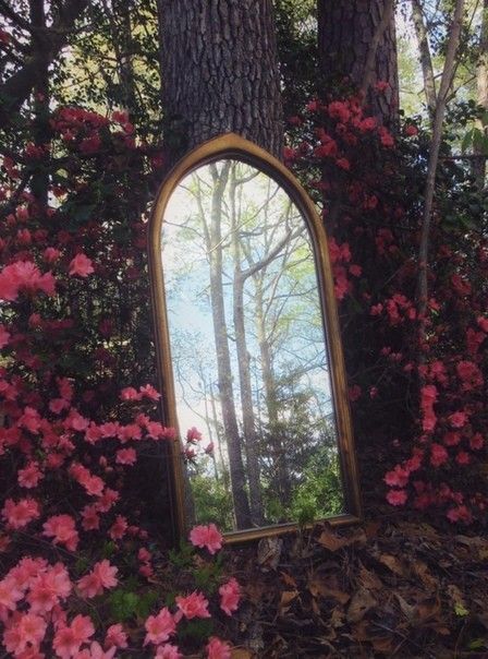 Alice In Wonderland Garden, Fae Aesthetic, Forest Magic, Practical Magic, Fantasy Landscape, The Soul, The Forest, Dark Fantasy, Secret Garden