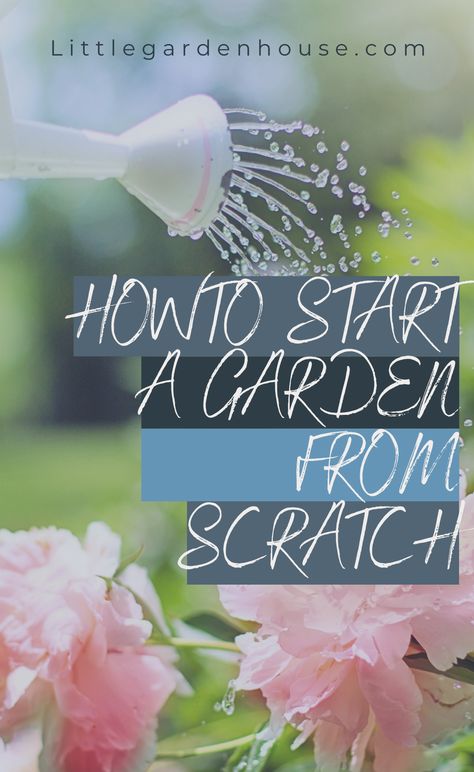 If you want to learn how to Start a garden from scratch, whether you are moving into a new home with a blank slate, inheriting a patch from a previous occupant, or just re-doing your garden, we have outlined 5 simple steps that can put you on the right path. #NewGarden #GardenDesign #DesignNewGarden #GardeningforBeginners Garden From Scratch, Date Plant, Start A Garden, Small Urban Garden, Growing Cut Flowers, Flower Farming, Gardening Zones, Starting A Vegetable Garden, Home Grown Vegetables