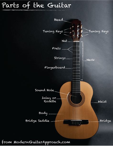 Parts Of Guitar, Parts Of A Guitar, Basic Chords Guitar, Guitar Lessons Tutorials, Guitar Tuner, Easy Guitar Tabs, Guitar Tabs Songs, Types Of Guitar, Guitar Chords For Songs