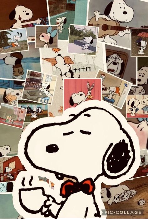 Crazy Meme, Peanuts Wallpaper, Snoopy Cartoon, Snoopy Images, Snoopy Wallpaper, Snoopy Pictures, Snoopy Love, 수채화 그림, Charlie Brown And Snoopy