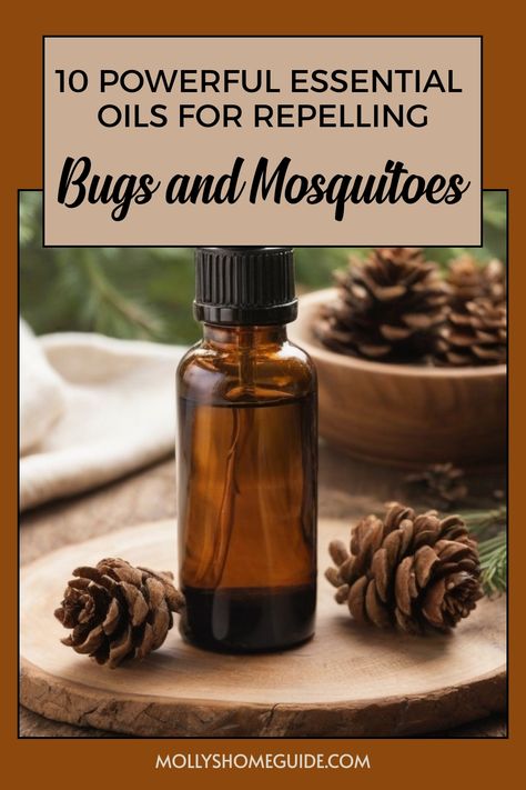 Create your own natural bug repellent with these top essential oils that repel bugs. Discover the best homemade mosquito repellent recipes using essential oils. Keep pesky bugs at bay with this DIY essential oil repellent. Say goodbye to toxic chemicals and try this non-toxic mosquito repellent made from essential oils. Learn how to make your own bug spray using the power of essential oils for bug and mosquito repellent. Protect yourself from bug bites with homemade mosquito repellent recipes th Bug Repellant Diy, Essential Oil Bug Spray Recipe, Home Made Mosquito Repellent, Homemade Mosquito Repellent, Essential Oil Bug Repellent, Insect Repellent Essential Oils, Homemade Bug Repellent, Remedies For Mosquito Bites, Essential Oil Bug Spray