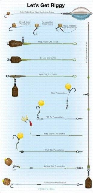 Carp Rigs for Beginners - A Guide to Carp Fishing | Carp 'n' Bait.co.uk Carp Fishing Tips, Carp Fishing Rigs, Carp Rigs, Pesca In Mare, Carp Fishing Bait, Fishing Photography, Bass Fishing Tips, Pike Fishing, Fishing Rigs