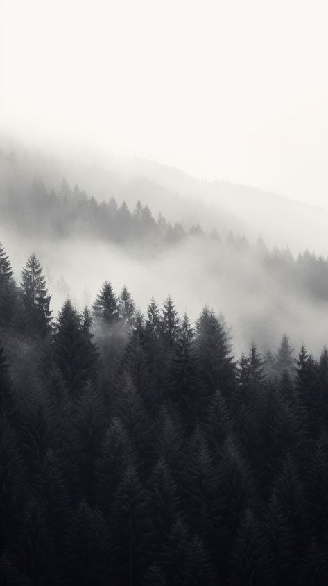 Black and white photo of a foggy forest tree outdoors nature. | premium image by rawpixel.com Pine Forest Wallpaper, Dark Forest Background, Mountain Iphone Wallpaper, Black And White Nature Photography, Forest Minimalist, Iphone Wallpaper Black, Wallpaper Mountain, White Pine Tree, Forest Background