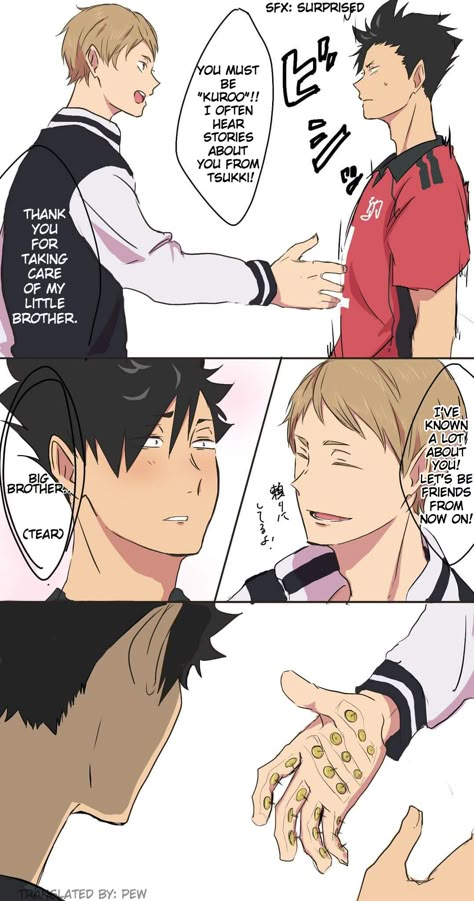 Haruichi Furudate, Haikyuu Meme, Haikyuu Volleyball, Haikyuu Memes, Tsukishima Kei, Kuroo Tetsurou, 강아지 그림, Haikyuu Kageyama, Haikyuu Funny