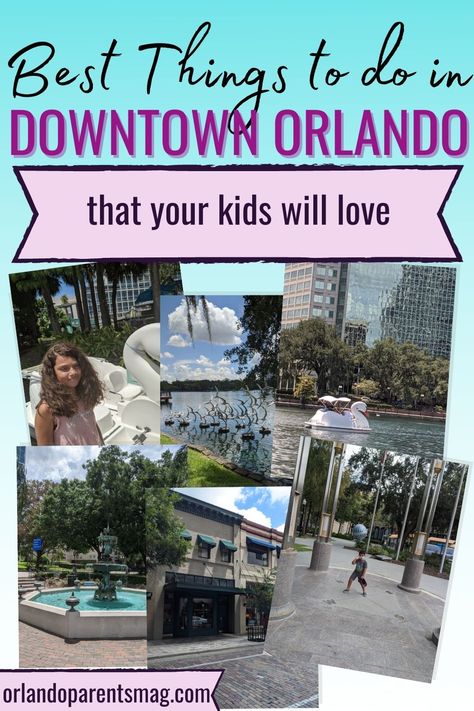 Downtown Orlando is chock full of things to do for adults, but it's also good for families. From riding the swan boats in Lake Eola Park, taking in a concert at the Disney amphitheater, taking in a comedy show and more, there's a lot to do for families in downtown orlando. orlando family fun, things to do in downtown orlando, what to do with kids in downtown orlando, orlando swan boats, lake eola, comedy club orlando, things to do with kids in orlando, places to go in orlando Orlando With Kids, Swan Boats, Orlando Family, Lake Eola, Downtown Orlando, Outdoor Park, Family Picnic, Comedy Club, Picnic In The Park