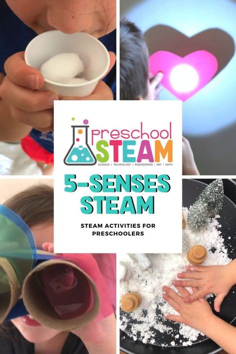 Exploring the 5 Senses with STEAM 5 Senses Preschool, Sensory Basket, 5 Senses Activities, Art And Math, Senses Preschool, Kindergarten Stem, The 5 Senses, Engineering Art, Toddler Themes