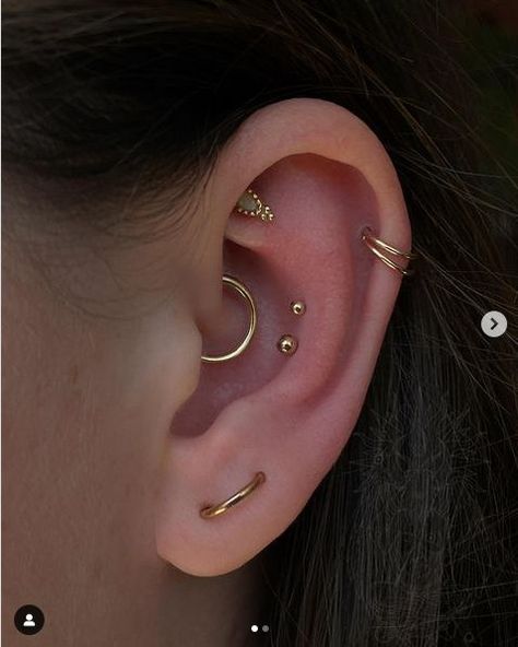 Cofc Dorm, Double Conch, Orbital Piercing, Ear Curation, Ear Cuff Piercing, Cool Ear Piercings, Cool Piercings, Cute Ear Piercings, Ear Style